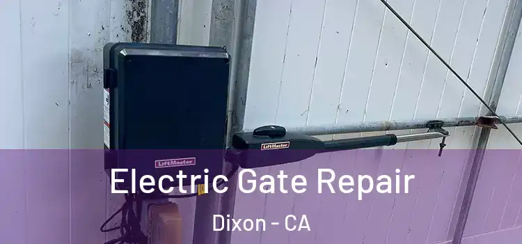 Electric Gate Repair Dixon - CA