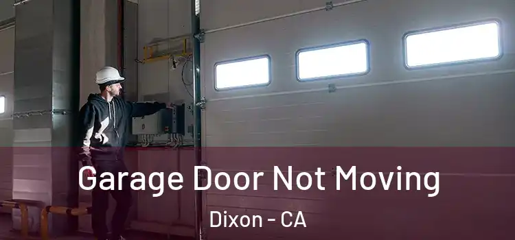  Garage Door Not Moving Dixon - CA