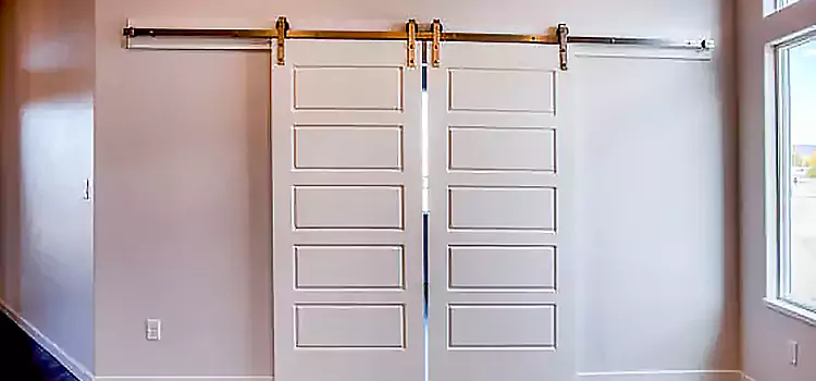 Glass Barn Door with Installation Hardware Kit Dixon