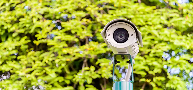 Advanced Surveillance Solutions for Every Need in Dixon