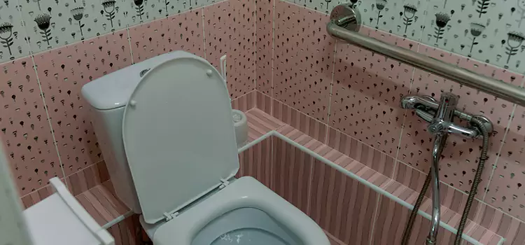 Meeting Diverse Needs With Accessible Restroom Solutions in Dixon, CA