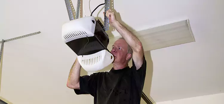 Garage Door Opener Service Dixon